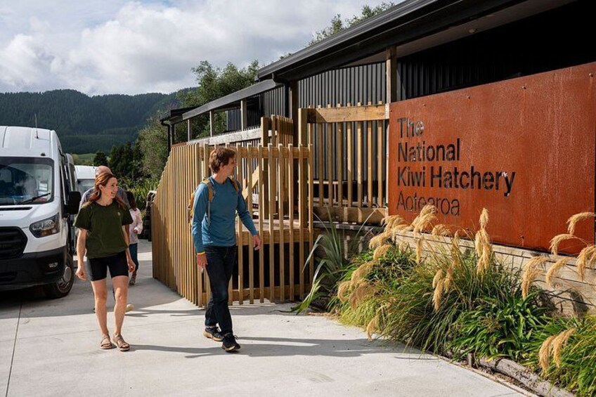 National Kiwi Hatchery - Kiwi Encounter Guided Tour 3