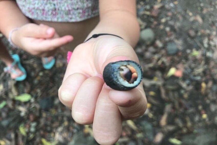 A close-up of a hand holding a blueberry. 2