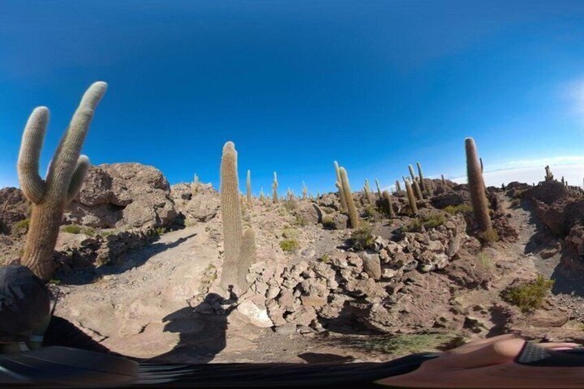 Salt Flats, Colored Lagoons And Tupiza_private