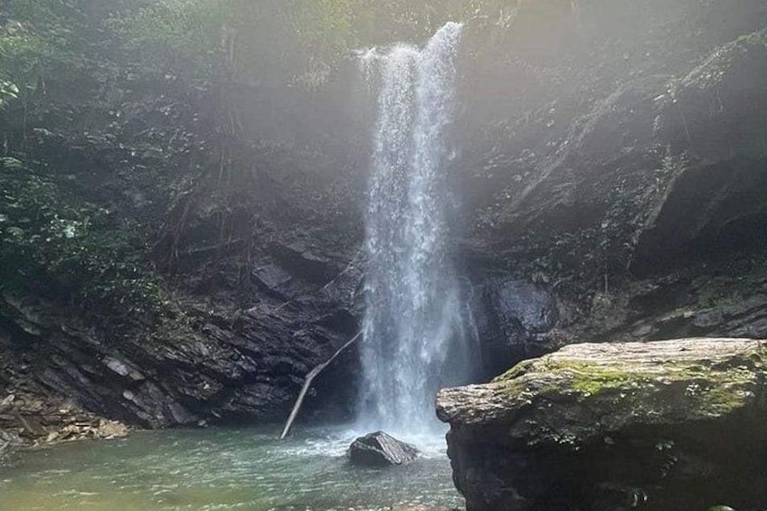 A waterfall cascading down a rocky cliff into a pool of water surrounded by dense forest. 5