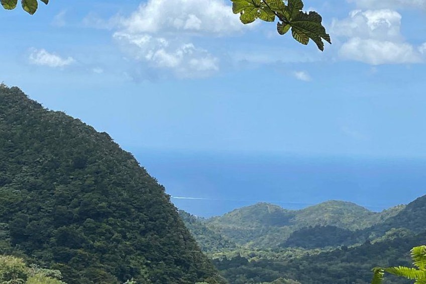Half Day Grenada Seven Sisters, Grand Etang Nature Center Hiking Tour 1