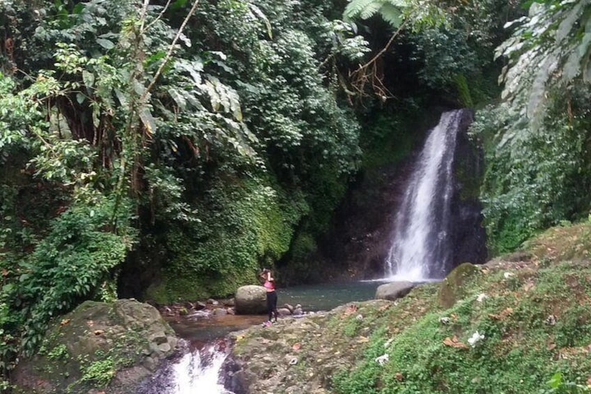 Half Day Grenada Seven Sisters, Grand Etang Nature Center Hiking Tour 2