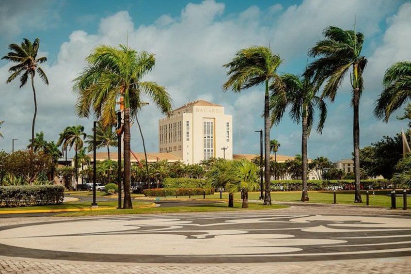 The Maestro's Walk: A Rum Tasting Experience 2