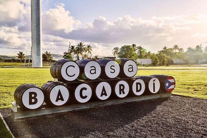 The Maestro's Walk: A Rum Tasting Experience 3