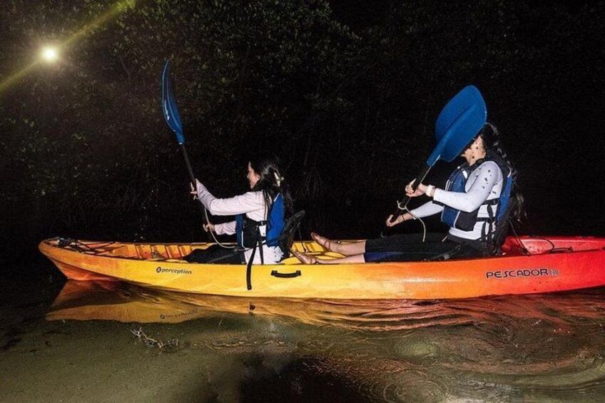 Two people kayaking at night. 2