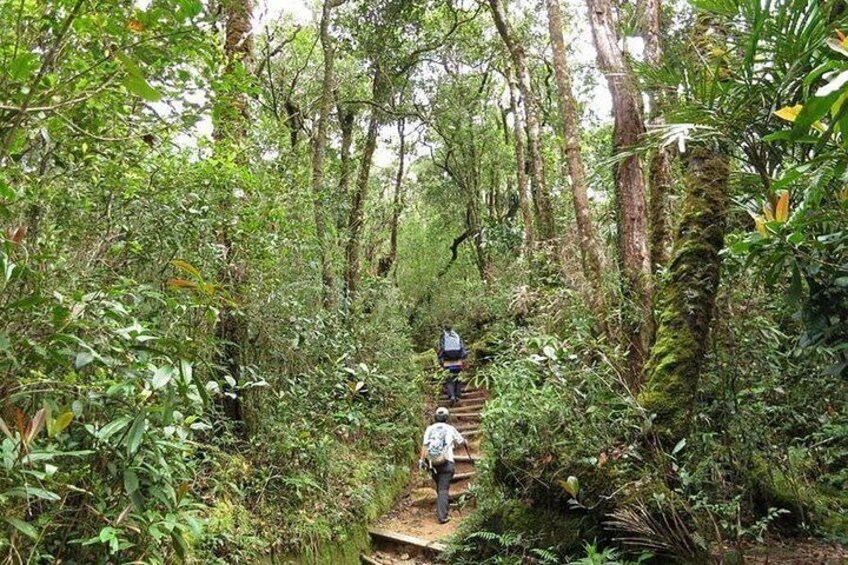 Kinabalu Park 3