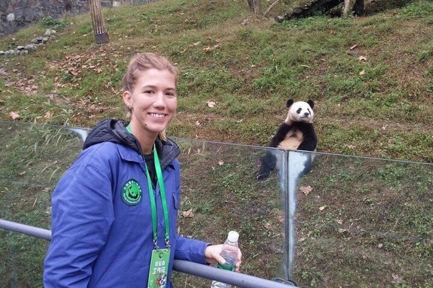 Dujiangyan Panda Volunteering Experience with Lunch 2