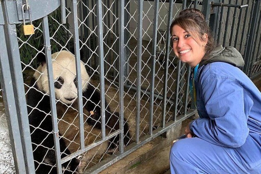 Dujiangyan Panda Volunteering Experience with Lunch 1