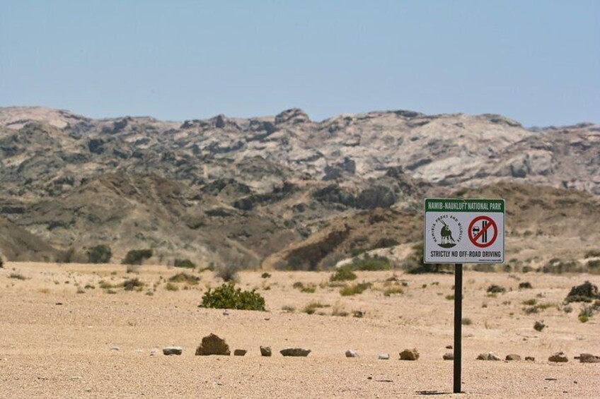 Moon Landscape and Welwitschia 4x4 Half-Day Tour from Walvis Bay 2