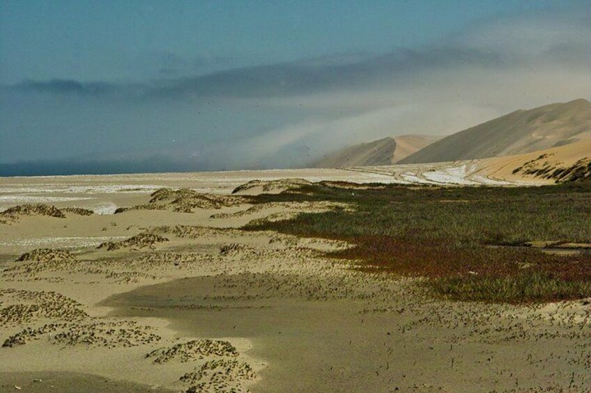 Sandwich Harbour- Guided Self-Drive Tour from Walvis Bay 5