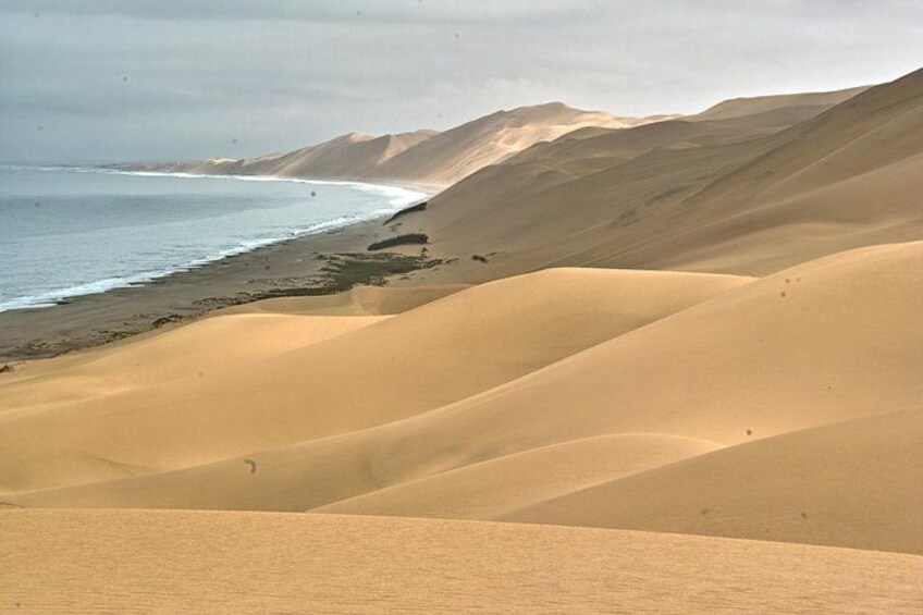 Duinen, een strand en een bergketen in de verte. 2