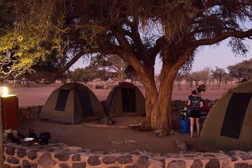A tree with tents around it, a stone wall, and a campfire. 4
