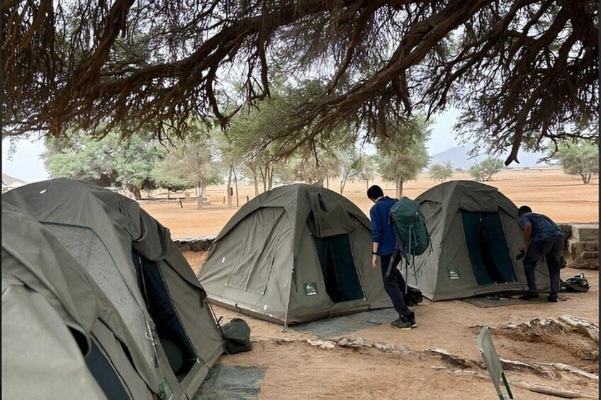 Three tents set up in a dry, open area with sparse trees in the background. 2