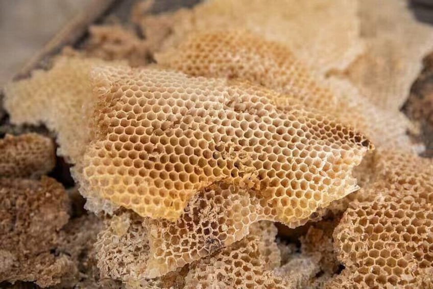 A close-up of honeycomb structures. 2