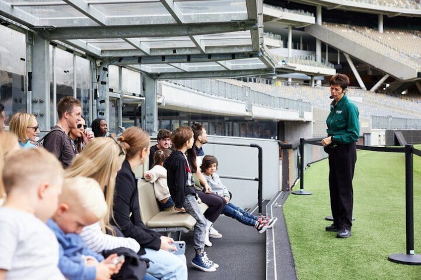 A stadium with spectators seated on tiered stands, a person standing on the field, and a green artificial turf. 5