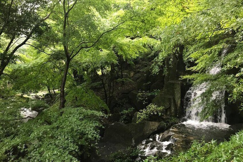 Beautiful Tokugawa garden