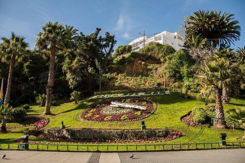 A landscaped garden with a circular flower bed, palm trees, and a white building in the background. 5