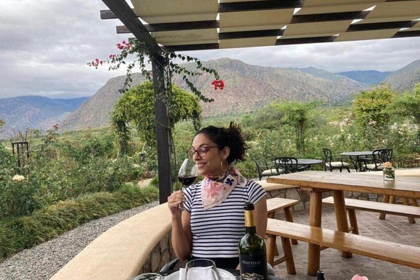 Cafayate: 2-Day-Trip from Salta City 3