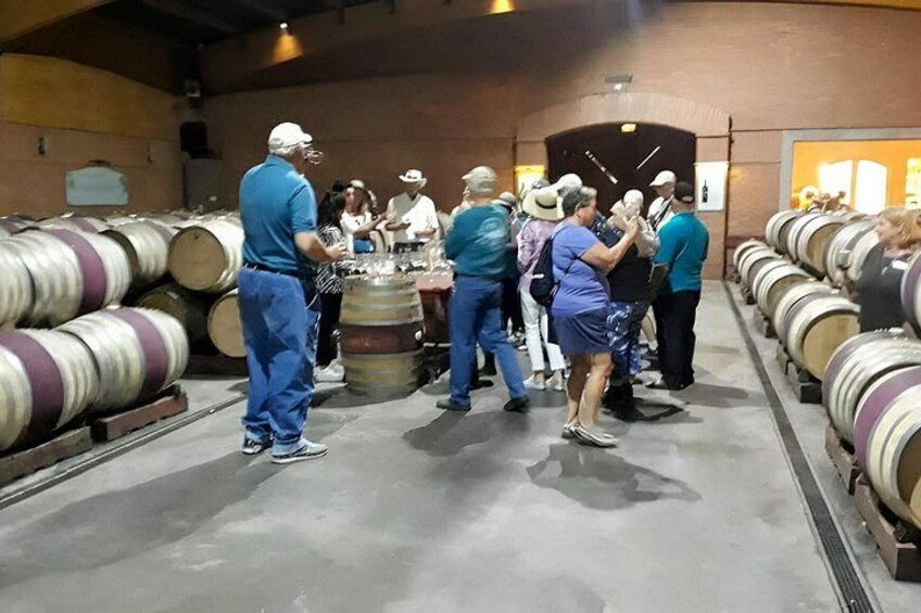 Valparaíso Viña & Casablanca Wine Tasting from Santiago (Max 7) 3