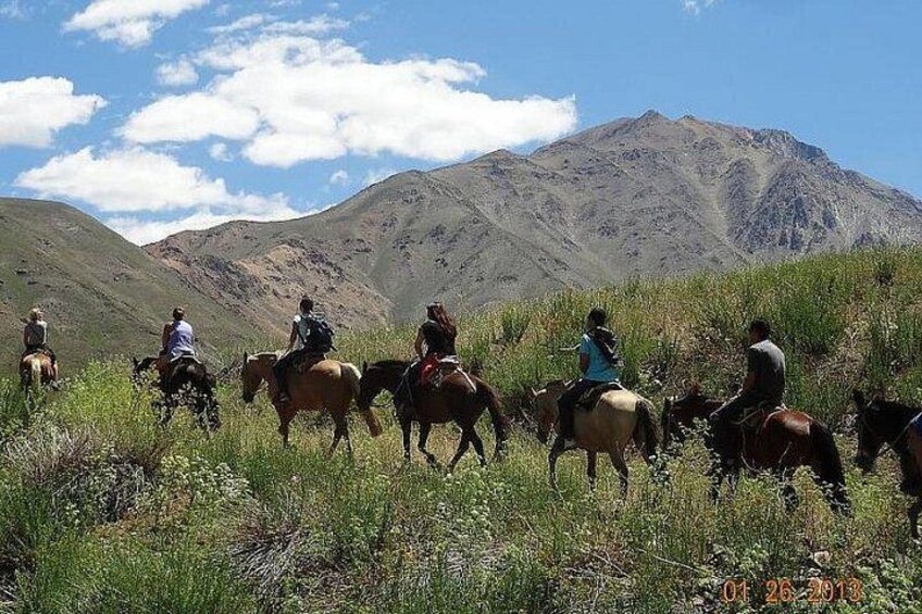 A group of people horseback riding through a grassy field with mountains in the background. 5