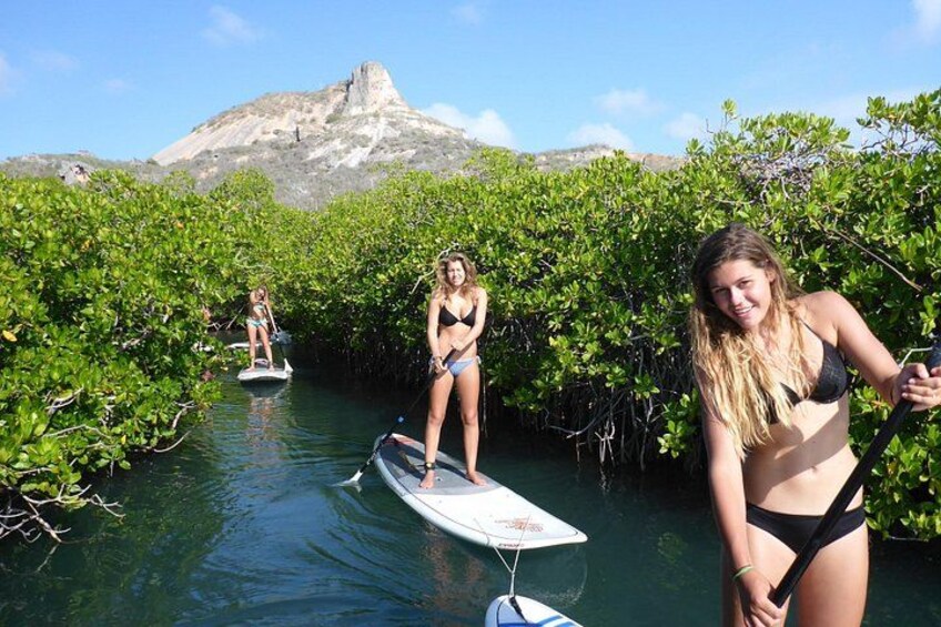 Guided paddleboarding (SUP) mangrove ECO tour for beginners 1