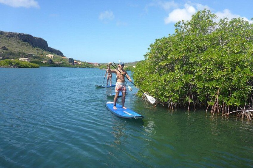 Guided paddleboarding (SUP) mangrove ECO tour for beginners 3
