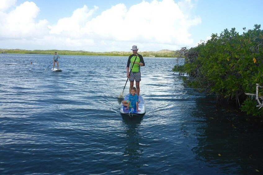 Una persona practicando paddleboard en aguas tranquilas, con vegetación en la orilla. 2