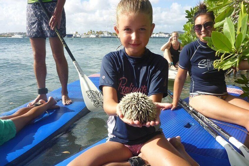 Una persona sostiene un erizo de mar sobre una tabla de remo. 3