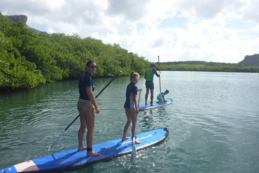 Guided paddleboarding (SUP) mangrove ECO tour for beginners 2