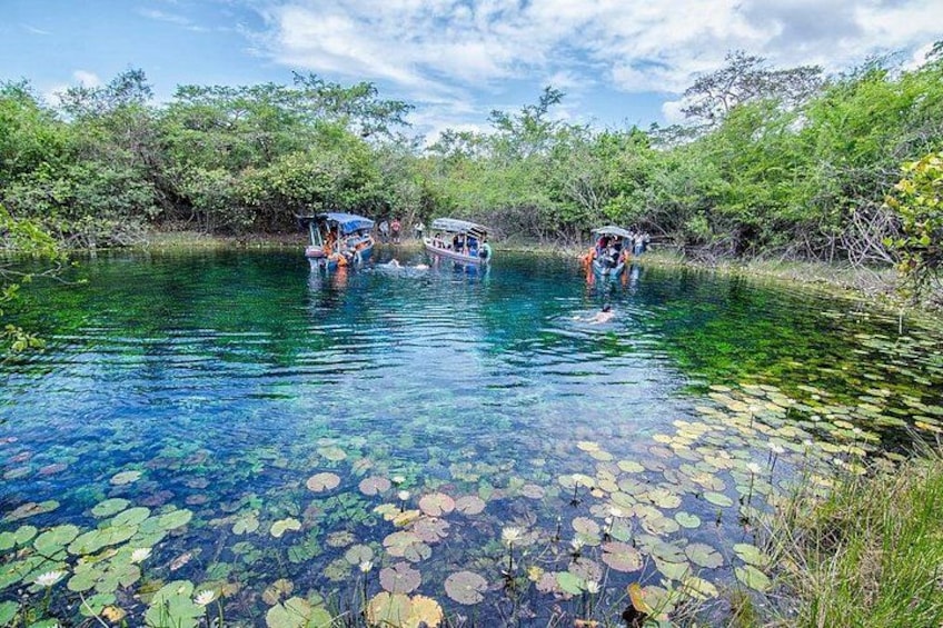 A clear water body with lily pads, surrounded by dense greenery and boats with people. 3