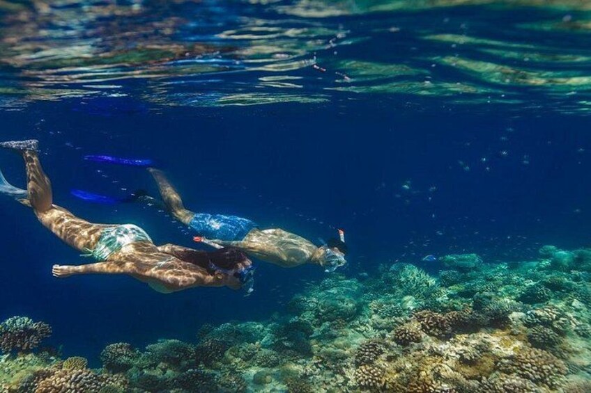 Night Snorkeling Experience in Dhiffushi Island 1