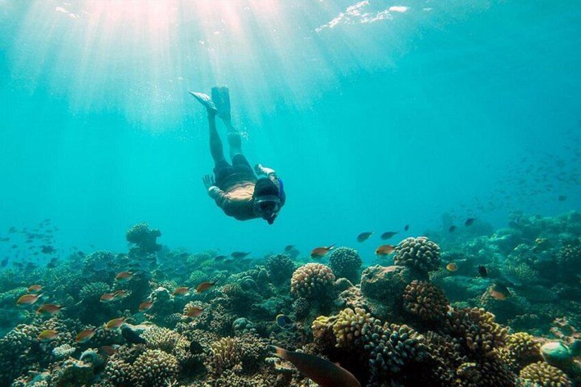 Night Snorkeling Experience in Dhiffushi Island 4