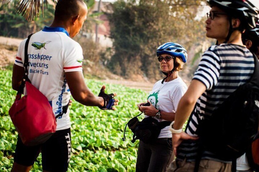 Eine Gruppe von Radtouristen mit Helmen und Fahrradbekleidung. 4