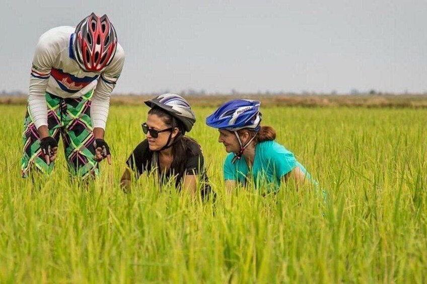 Drei Personen in einem Feld, eine mit Helm und farbenfroher Radsportbekleidung, eine weitere in einem schwarzen T-Shirt und Helm, und die dritte in einem blauen Hemd und Helm. 2