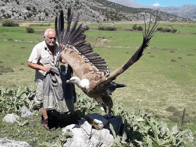 Un hombre sostiene un ave grande con alas extendidas en un campo con montañas al fondo. 3