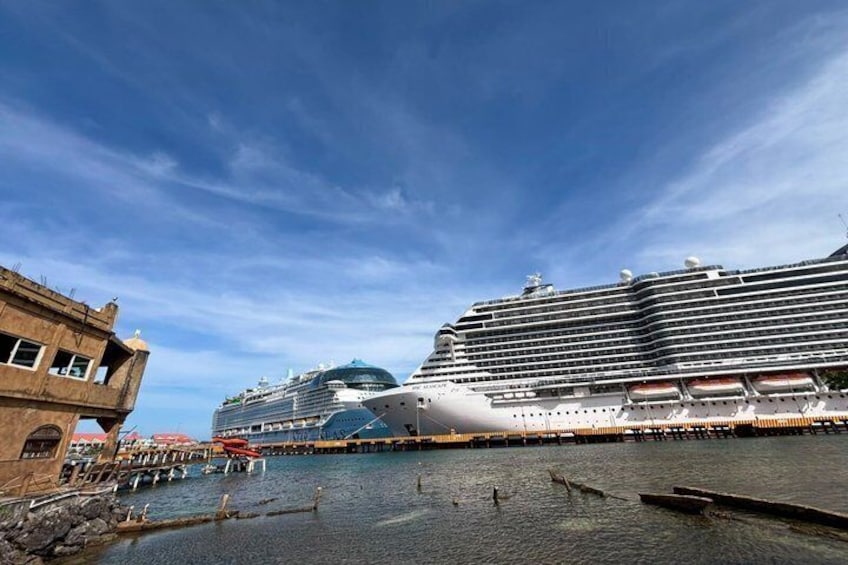 Cruise Ship Combo: Sloths, Chocolate Factory, City Tour, Beach, Private Shuttle 2