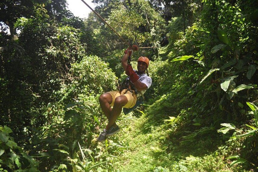 Eine Person saust mit einem Zipline durch einen dichten Wald. 3