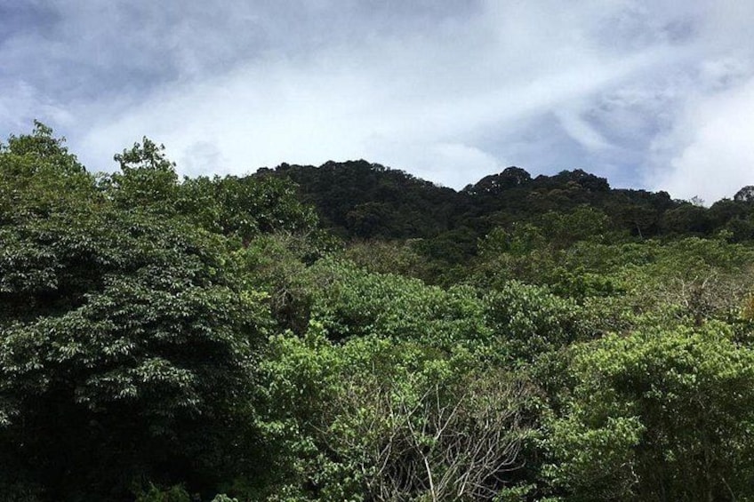 Zip Line, Rappel, Hiking La Carpintera Tour in San Jose 3