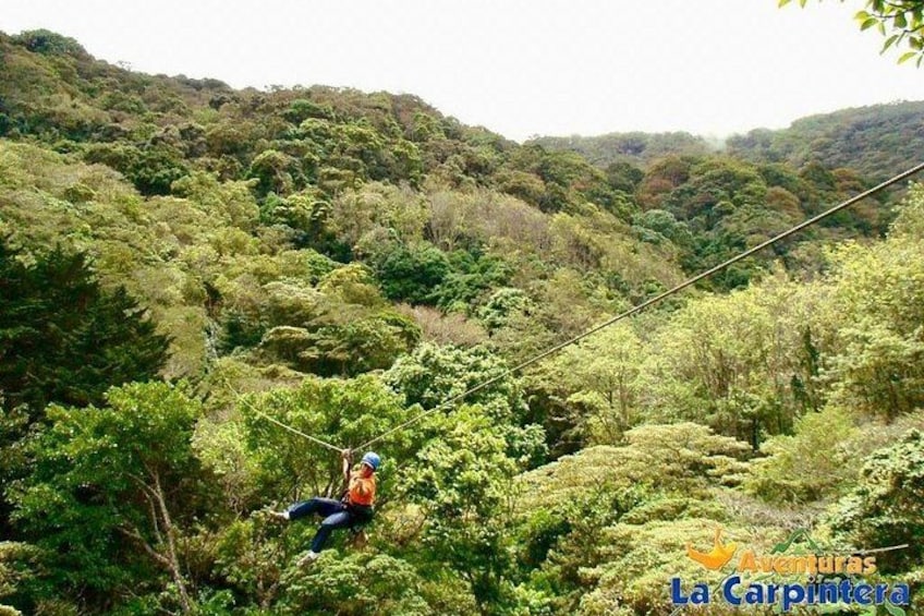 A person zip-lining through a dense forest. 3