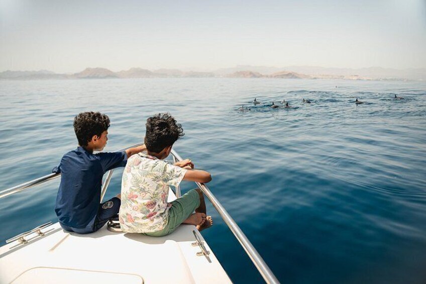 Dos personas en un bote, mirando al mar con delfines a lo lejos. 5