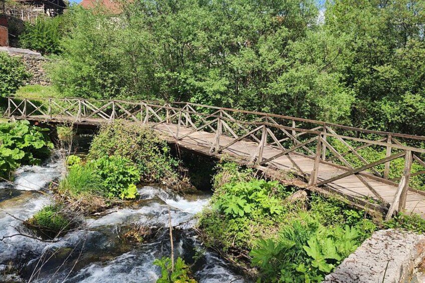 Een houten brug over een stromende rivier, met weelderige begroeiing en bomen op de achtergrond. 2