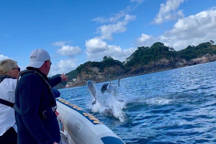 A boat with people observing dolphins jumping out of the water. 4