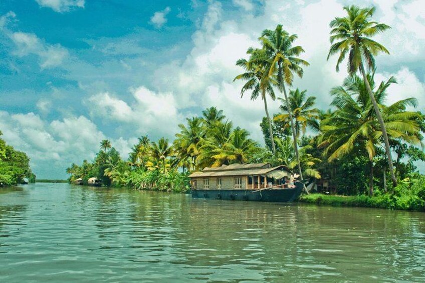 A houseboat on a calm river surrounded by lush greenery and tall palm trees. 2