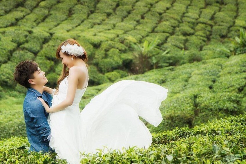 Kerala Honeymoon Special Package with Private Houseboat 1
