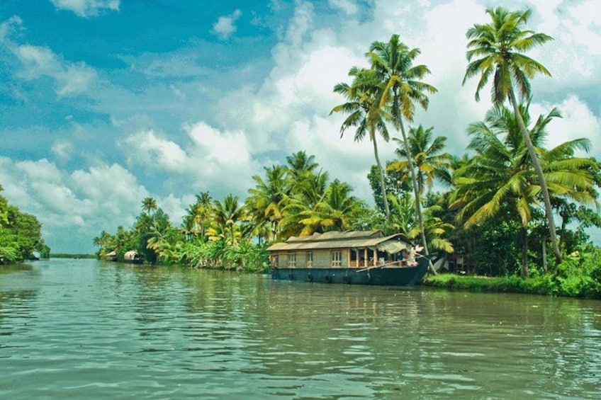 A houseboat on a calm river surrounded by lush greenery and palm trees. 2