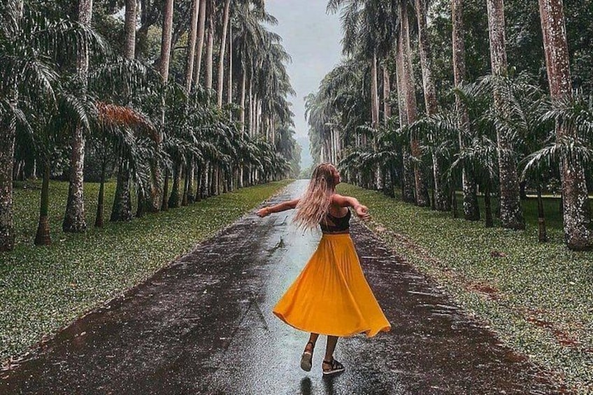 A woman in a yellow dress walking down a wet road lined with palm trees. 2