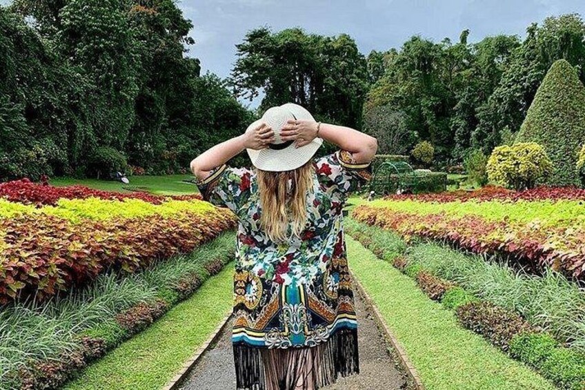 A person in a patterned dress walking through a garden with neatly arranged flower beds and trimmed hedges. 3