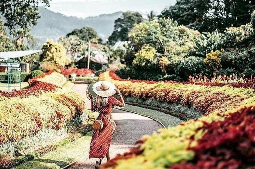 A woman in a polka dot dress walking on a curved path surrounded by colorful foliage. 4