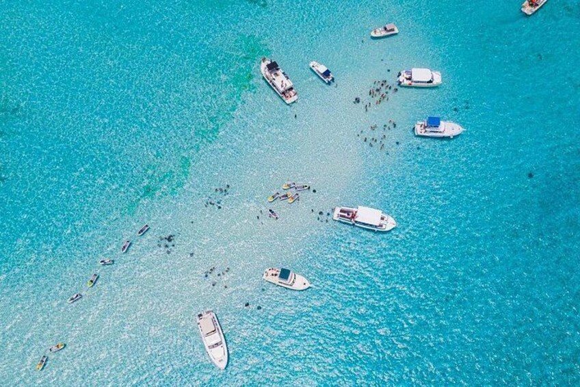 Stingray City 1