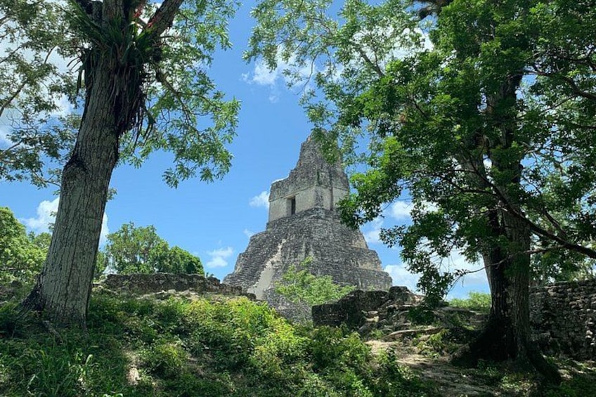 A pyramid-like structure surrounded by lush greenery and trees. 1